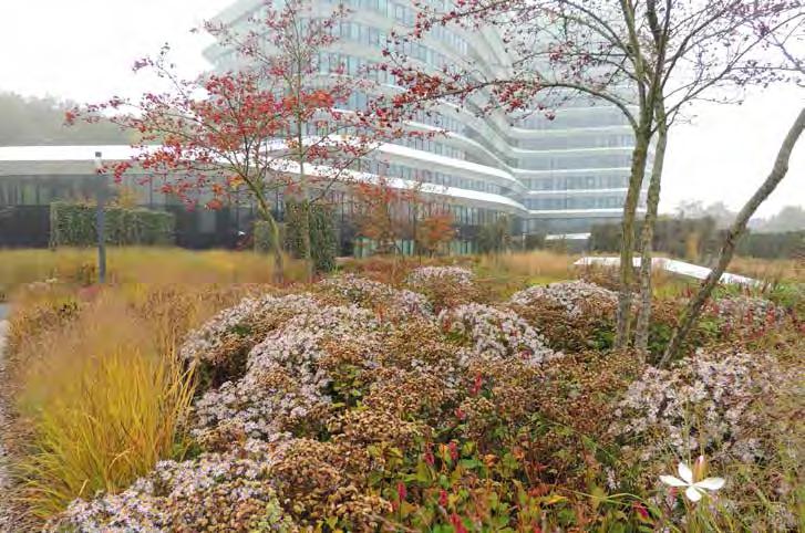 De barrière van het nieuwe woongebouw is (ten dele) geslecht door het entreegebied en het bordes van de passende beplanting te voorzien.