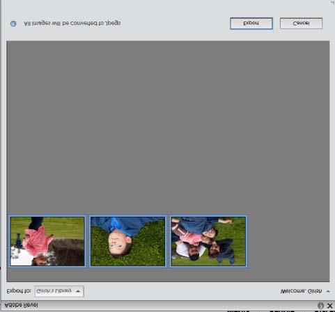 Foto's exporteren naar Adobe Revel U kunt foto's vanuit de Elements Organizer exporteren naar een bibliotheek in Adobe Revel. 1. Selecteer in de Elements Organizer de foto's die u wilt exporteren.