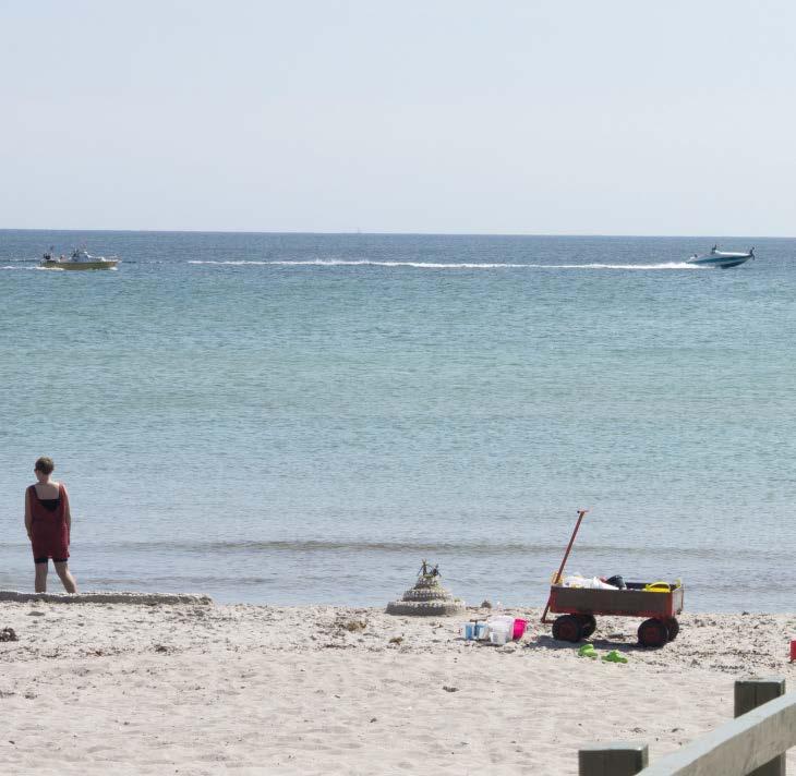 Mensen Prijswinnaars Denemarken bij uitstek een vakantieland voor mensen met MS In Rondom MS, nr 45, leest Arja Kerkhof over Dronningens Ferieby, een vakantiepark in Denemarken, dat volledig is