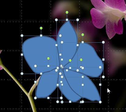 Als alle bloemblaadjes overgetekend zijn, deze tezamen selecteren door de Ctrl toets ingedrukt te houden en op elk