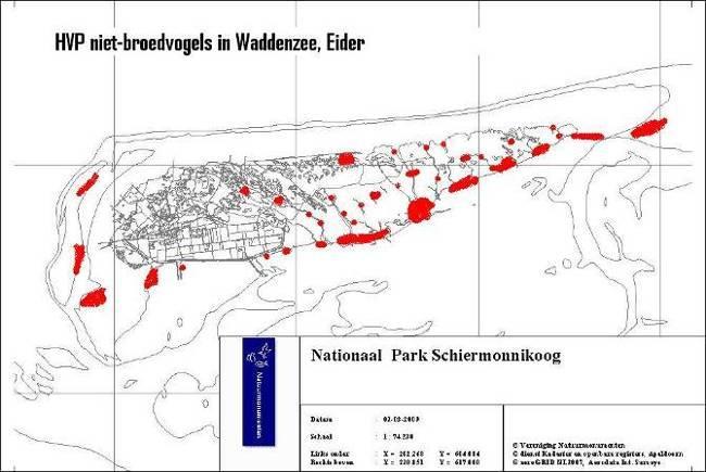 Overdijk-NM) Verspreiding op Schiermonnikoog aan de Noordzeekustzone zijde (med. Dhr. Overdijk -NM).