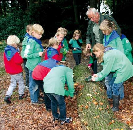 Sport & spel Scouting de Paraplu Groep 3 t/m 8 Dag en Tijd Om de week op woensdagmiddag van 14.00 uur tot 16.