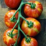 10 cm doorsnee met een gewicht tot 1 kg komt voor! Dit type tomaten wordt ananastomaten genoemd en kenmerken zich door zachte textuur, zoete en milde aroma s. Dit ras is gevonden in Oaxaca te Mexico.