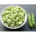 Maior (Engels: Broad Bean) Kastanjebruine tuinboon: een aardige en smakelijke kleurvariatie! De opbrengst is prima, dankzij de lange peulen. (Genoeg voor 2 rijen van 5 m).