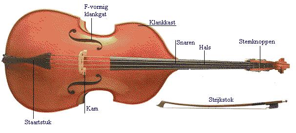 Ook in de Jazzmuziek is de contrabas populair. Daar wordt hij vaak getokkeld. 'Geplu kt' noemen ze dat daar.