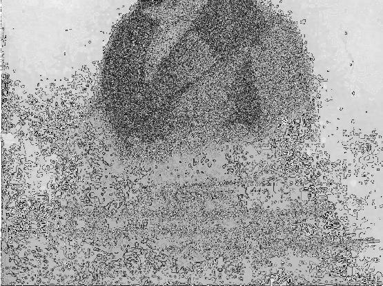 Recours, portret van Albert Gregorius in hoedanigheid van directeur van de Brugse Academie, 1835-1852, houtskool op papier, 420 x 355 mm, Brugge, Steinmetzkabinet. Afb. 11. E.