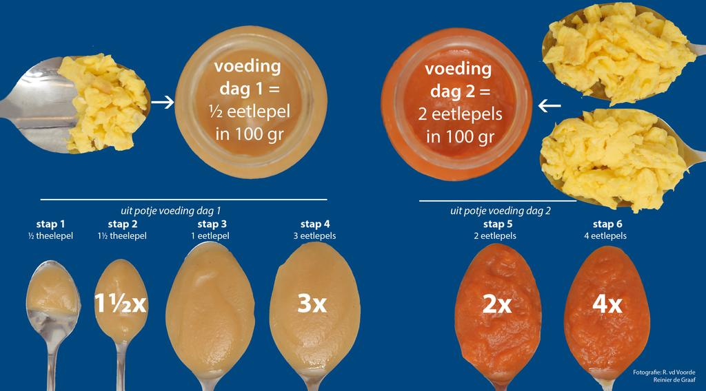 Dag 1: ½ eetlepel roerbakei vermengen met een blender met 100 gram babyvoeding (= voeding dag 1).