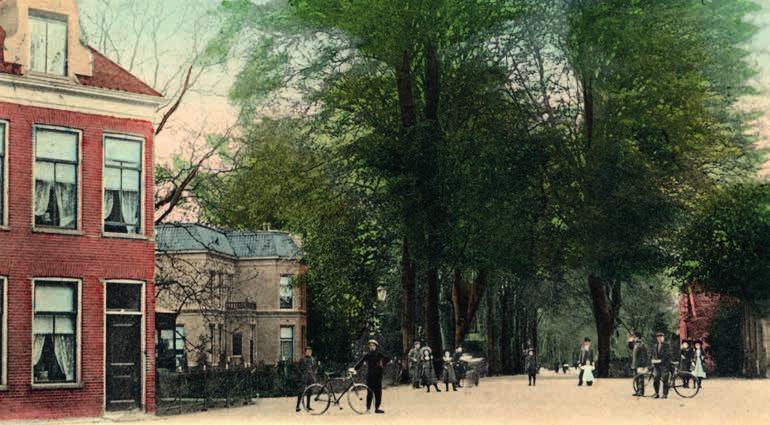 Ooit reikte het Asserbos tot het Kerkplein. Het bos aan de jonge stad cadeau gedaan.