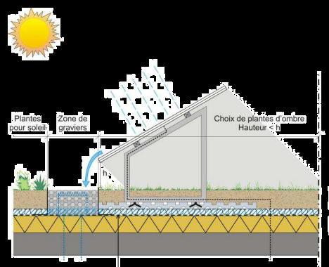 Mogelijke combinaties: Zonnepanelen en recuperatie van regenwater?