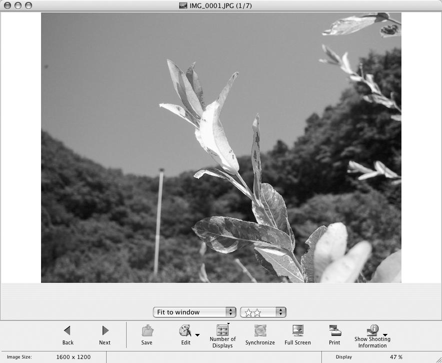 46 De software gebruiken op het Macintosh-platform geavanceerde technieken Het weergavevenster Dubbelklik op een beeld in het weergavegebied als u dit in het weergavevenster wilt weergeven.