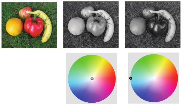 Zwart-witfilm U kunt doen alsof u een foto maakt met een zwart-witrolletje. Om het effect te wijzigen kunt u een groot scala aan RGB-waarden toepassen evenals de helderheid en duidelijkheid afstellen.