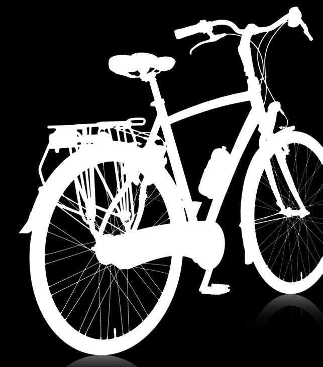 1199 Bijzonder sportieve fiets met frame van aluminium 7005 in combinatie
