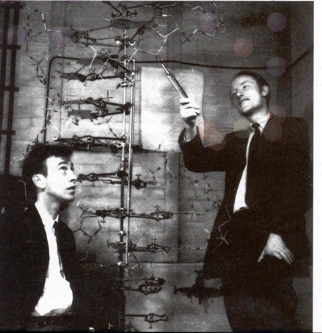 James Watson en Francis Krick kregen de Nobelprijs in 1963