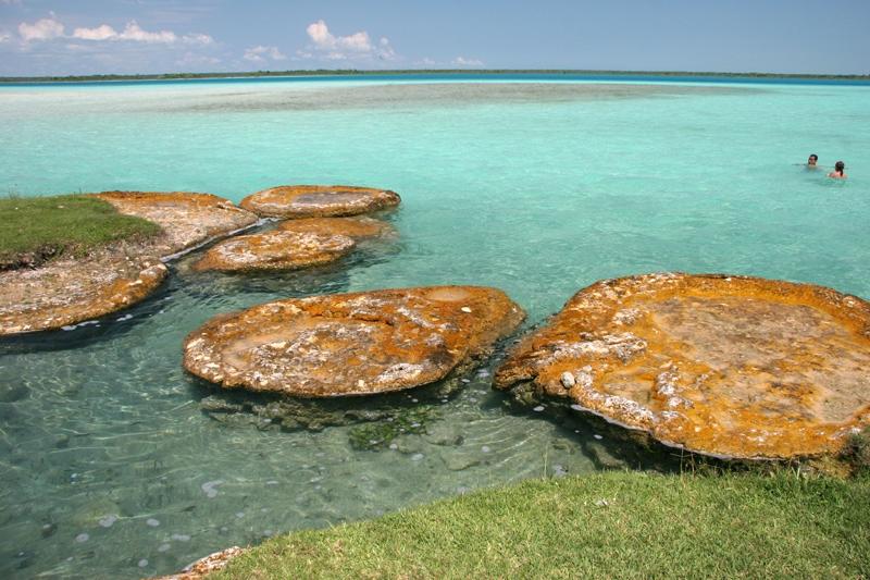 Tikal is inbegrepen, het entreegeld niet). Gelegen temidden van het tropische regenwoud van El Petén behoorde Tikal ooit tot de grootste der Mayasteden.