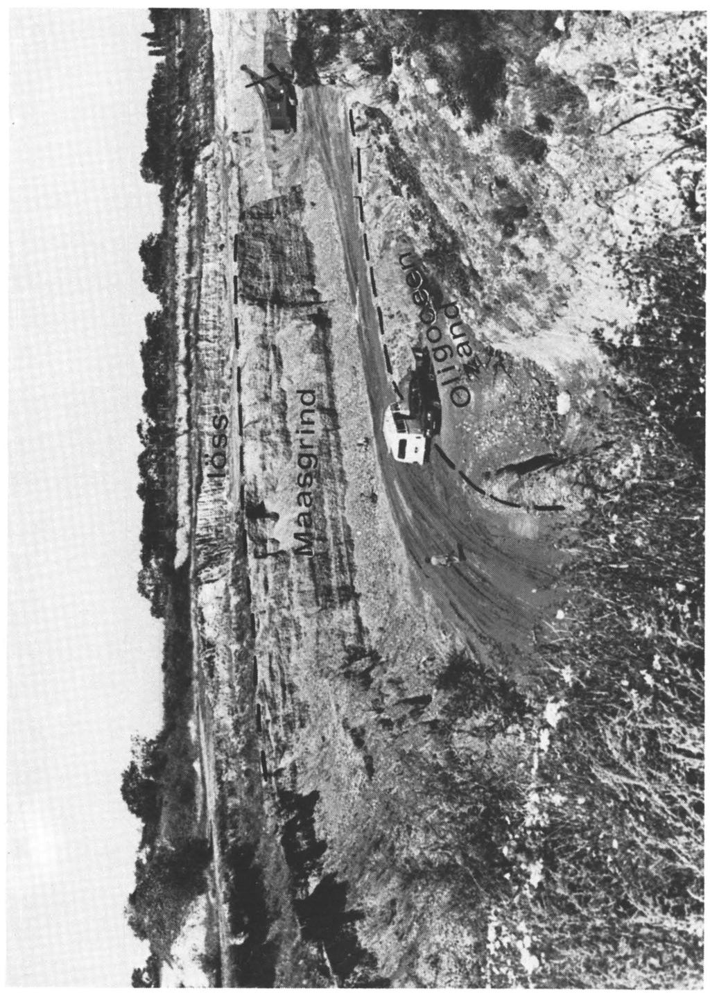 Fig. 2 Overzicht groeve Belvedère. Duideüjk zyn löss, Maasgrind en Oligoceen zand te onderscheiden. Foto P. W. Bosch, 1974. geschikt voor de baksteenindustrie.