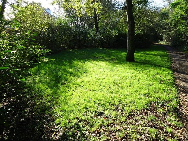 met bomen en struiken begroeide steilrand (figuur 24) en anderzijds