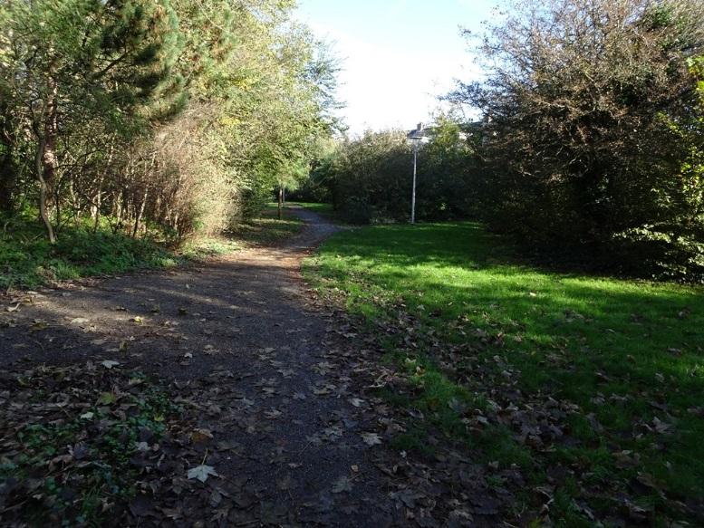 In de huidige situatie liggen de grasvelden overwegend aan de