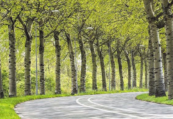 Doe mee aan flitspeiling over groen en landschap De gemeente Velsen werkt sinds november aan een Groenstructuurplan. Met als doel om de bestaande kwaliteit van landschap en groen te behouden.