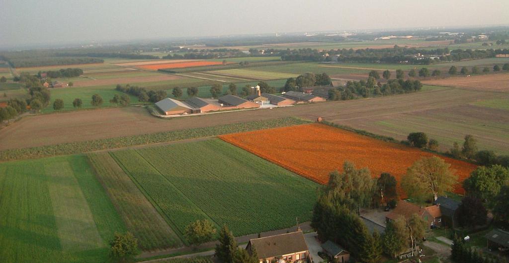 De huidige varkensboerderij van Gertjan Vullings staat temidden van het afwisselende noord-limburgse landschap.