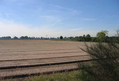 Vanaf de Witveldweg is het snelwegverkeer duidelijk te