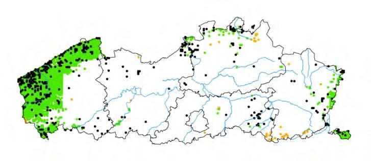 Figuur 72 De verspreiding van de Argusvlinder krimpt jaar na jaar. Momenteel is de soort enkel nog aanwezig in de kustpolders, het Antwerpse havengebied en het uiterste ZO van Limburg (Maes et al.