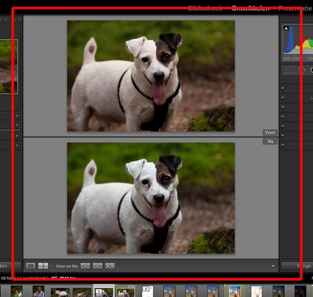 Meestal zul je werken in de Loepweergave (Loupe View) (dan is alleen de bewerkte foto te zien).