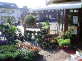 De winkel is 5 dagen per week open en staat op het plein in het dorpje Geldermalsen. Ze verkopen bloemen, planten en huis/tuin decoratie.