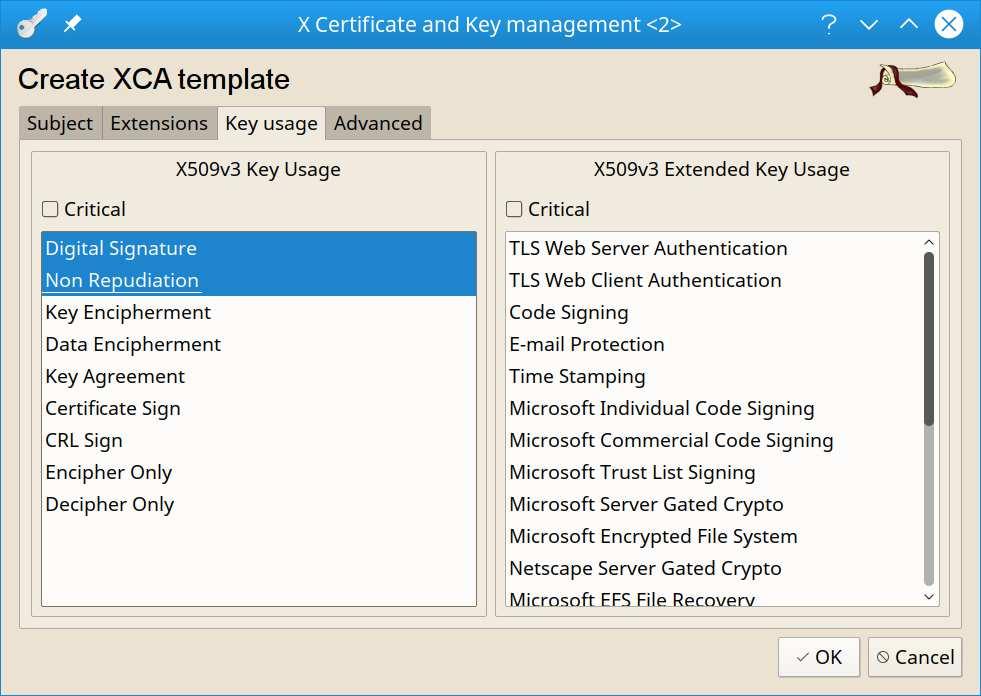 On the Extensions tab, set Type to End Entity and enable the Critical checkbox On