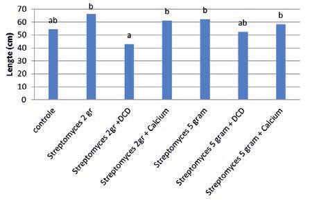 7 Optimalisatie van Streptomyces Voor de teelt van chrysant is het gewicht van de takken belangrijk omdat de teler vergoed wordt op basis van gewicht.