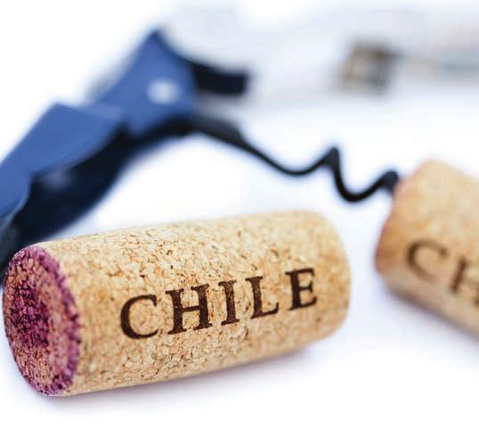 Oogst Chili 14 Zware nachtvorst van ongekende omvang in het voorjaar is verantwoordelijk voor een van de kleinste Chileense oogsten in jaren.