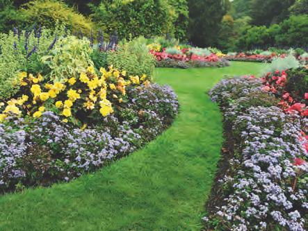 1 Een tuin ontwerpen THEORIE EEN TUIN IN VICTORIAANSE STIJL De victoriaanse landschapsstijl herken je door de perken met verschillende kleuren bloemen.