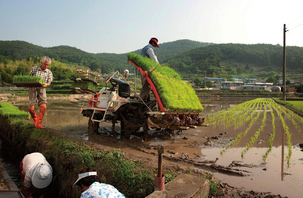 Leg uit waarom die grens zo loopt. Foto 5 Groenteteelt onder plastic in Zuid-Korea Tekst 3 Landschappelijke overeenkomsten Korea is een bergachtig land.
