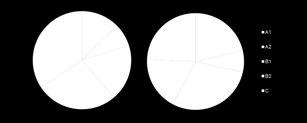 Ten opzichte van vorig jaar is er een (minimale) verschuiving geweest van het aantal winkels met een B2-kwalificatie naar een C-kwalificatie. In 2011 zagen wij ook een dergelijke verschuiving.