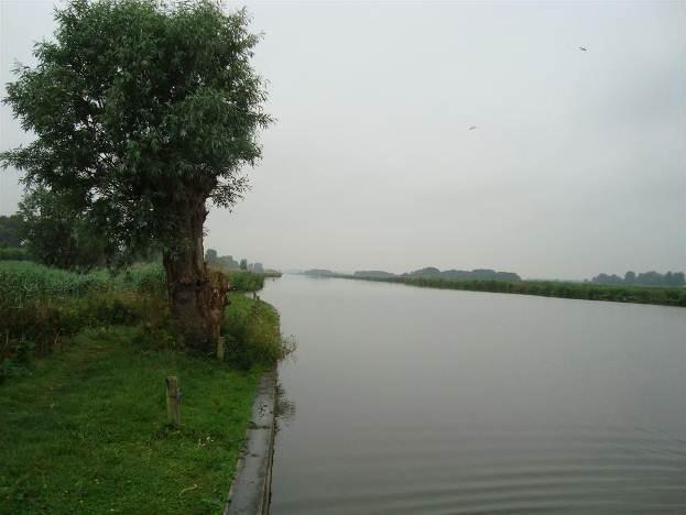 Langs de boezem zijn de landjes met wilgentenen beschoeid. Nabij de picknickplaats zijn riethopen (als broedplaats voor ringslangen) opgeworpen. 4.