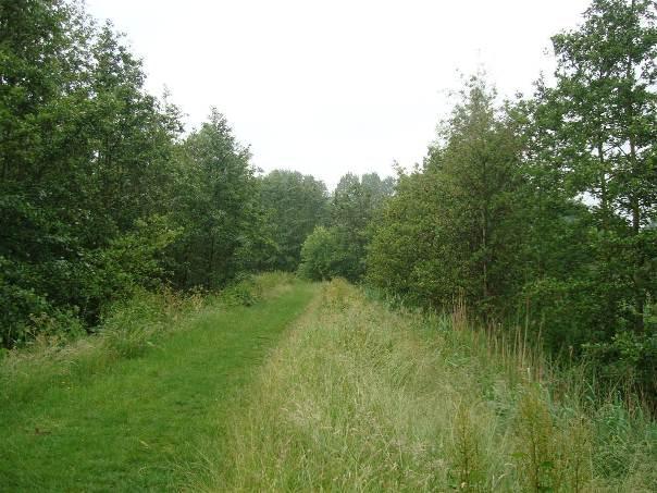 Kade Vlaardingse vaart: kleikade met een onverhard wandelpad (gras). De kade heeft een steil talud (1:2) tot de ca. 3 meter lager gelegen polder. 15. Rietruigte: ca.