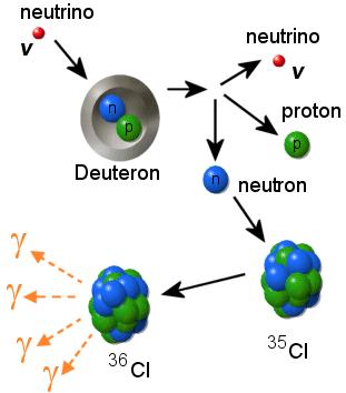 All neutrino species can break-up the