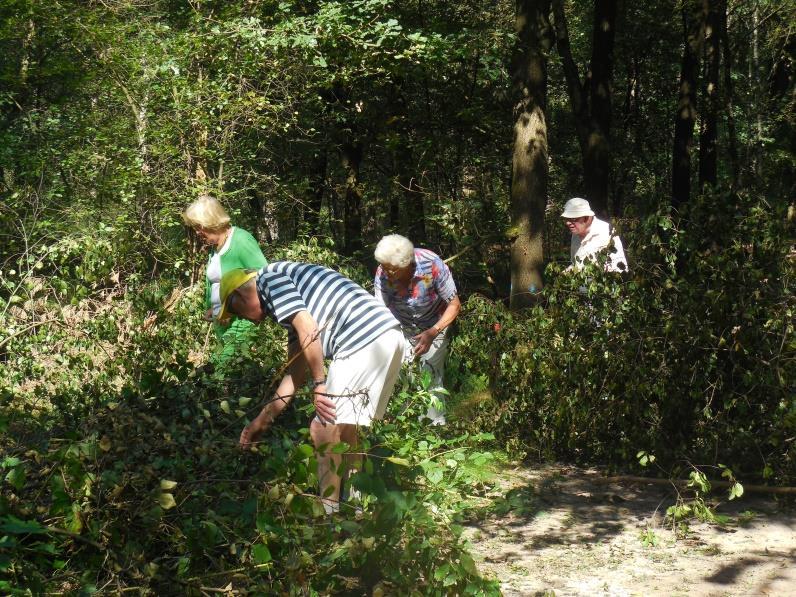 CLUBNIEUWS Plezierige middag voor Nordic walkingclub bij het klootschieten De tweede donderdag van september gaat de Nordic walkingclub traditioneel een middagje klootschieten.