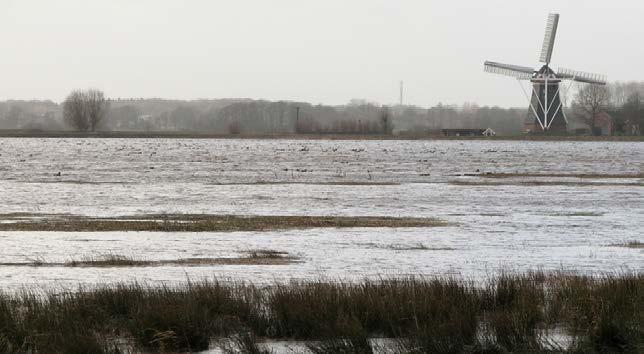 Groeningen 2012-1 18 Allerlei facetten van de prachtige bomen kwamen aan de orde.