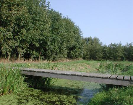 000,00 Verwijderen mijnsteen: 5.000.000,00 Verwijderen