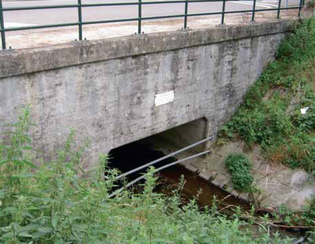 Inleiding 3 huidige overkluisde Rode Beek In het Regionaal Waterplan Parkstad Limburg en in het integrale