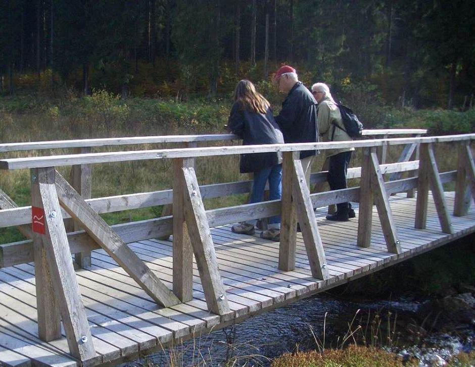 Op sommige plaatsen is de Brunssummerheide zeer vochtig; in het brongebied komt zelfs hoogveen voor.