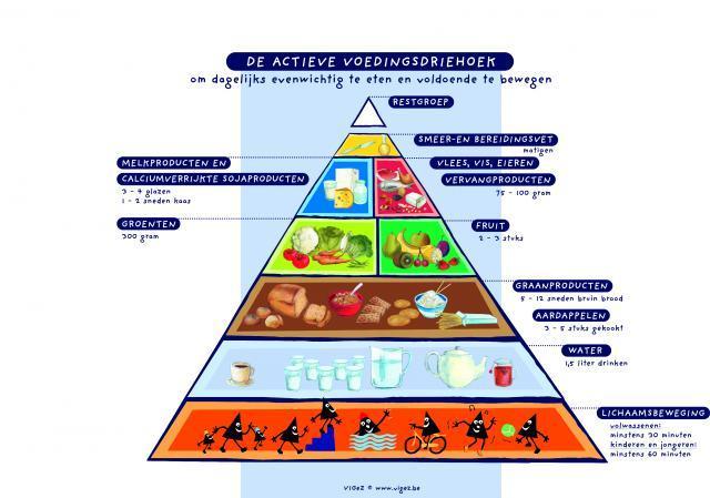 De actieve voedingsdriehoek De actieve voedingdriehoek is onderverdeeld in negen groepen die dagelijks nodig zijn in een gezond, evenwichtig en gevarieerd