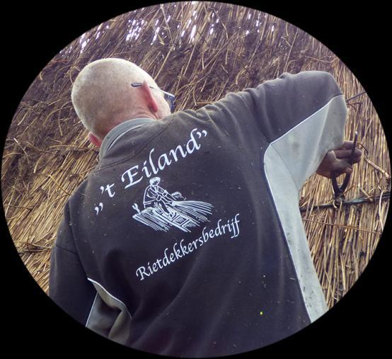 Maar eerst mochten de rietdekkers de restanten riet verwijderen van de beschadigde