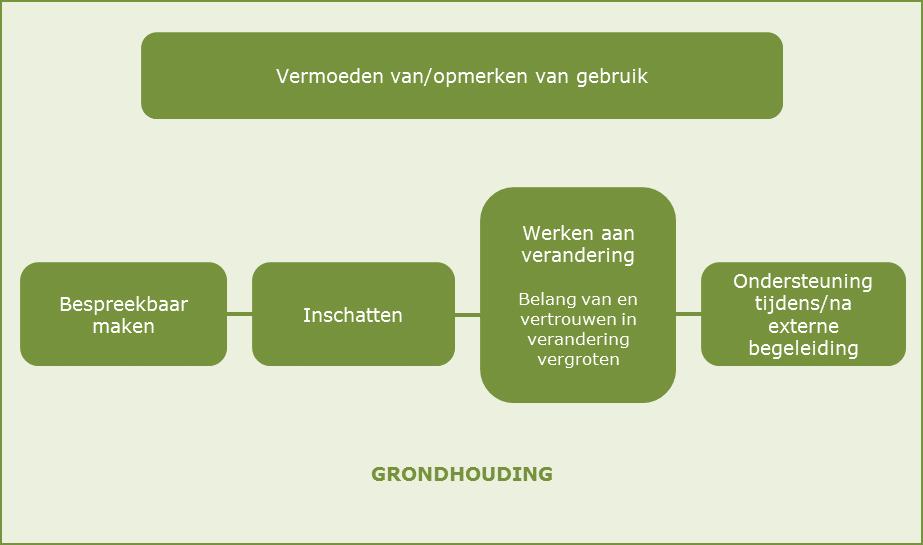 1. ALCOHOL- EN DRUGPROBLEMEN: EEN STAPSGEWIJZE BEGELEIDING Een begeleiding is een proces. Een eerste belangrijke stap is het opmerken van alcohol- of ander druggebruik.