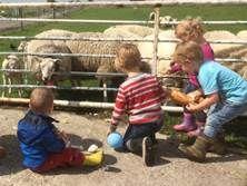 Spelen op dagverblijf het Paarse Schaap. Ik wil u graag in deze nieuwsbrief voorstellen aan dagverblijf het Paarse Schaap.