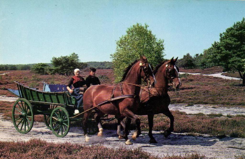 van de Veluwe is al decennialang groot.