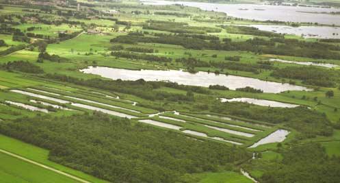 36 Natuurgebied De Wieden - Sint Jansklooster Schaatsen Ook als het water bevroren is kan er in Overijssel volop op het water gerecreëerd worden. Op de schaats wel te verstaan.