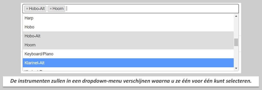 Instrumenten Hier kunt u aangeven welke instrumenten iemand kan bespelen. Als u in het vak instrumenten klikt krijgt u meteen een overzicht van alle beschikbare instrumenten.