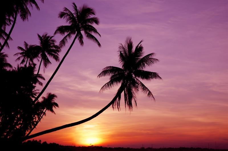 Dag 9: Mui Né - Qui Nhon Om de zeer lange reisdag over slechte wegen naar Hoi An te breken, overnacht je in het havenstadje Qui Nhon. Voordat het zover is, geniet je van het Vietnamese platteland.