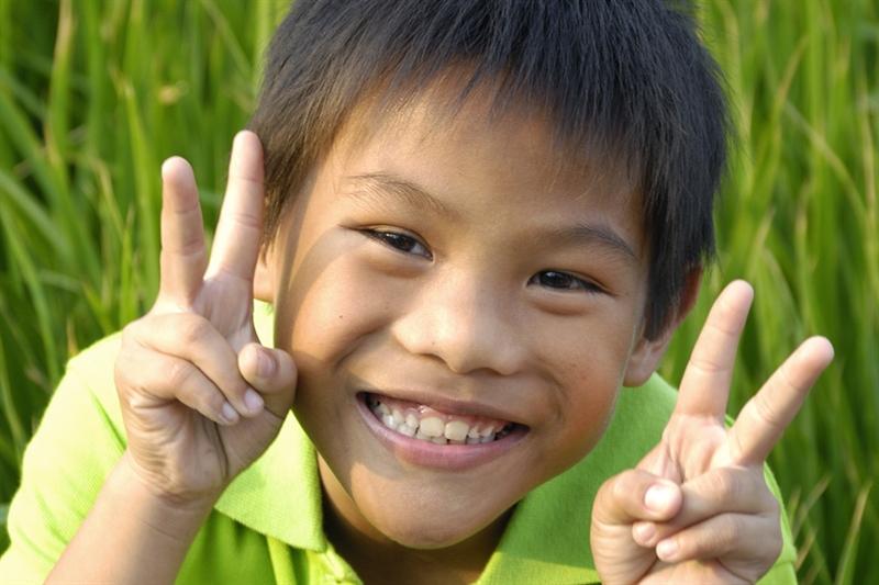 My Son was het politieke en religieuze centrum van het Chamvolk dat van de vierde tot de dertiende eeuw de heerschappij voerde in Vietnam.